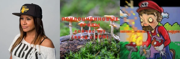индика Баксан