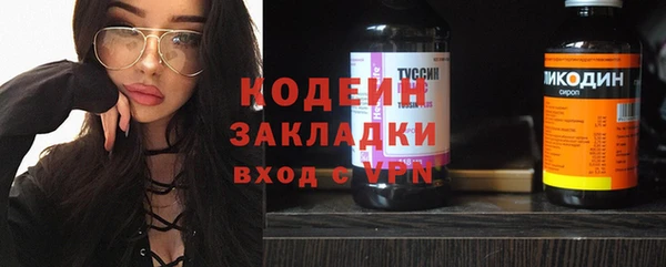 индика Баксан
