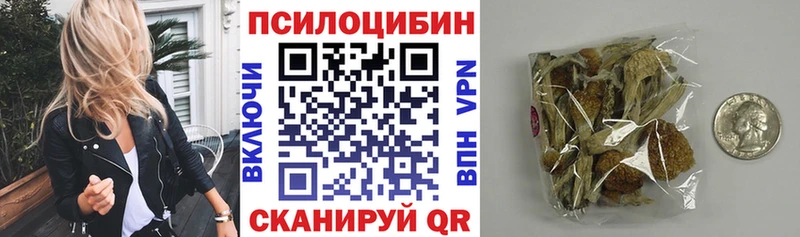 Псилоцибиновые грибы GOLDEN TEACHER закладка Радужный